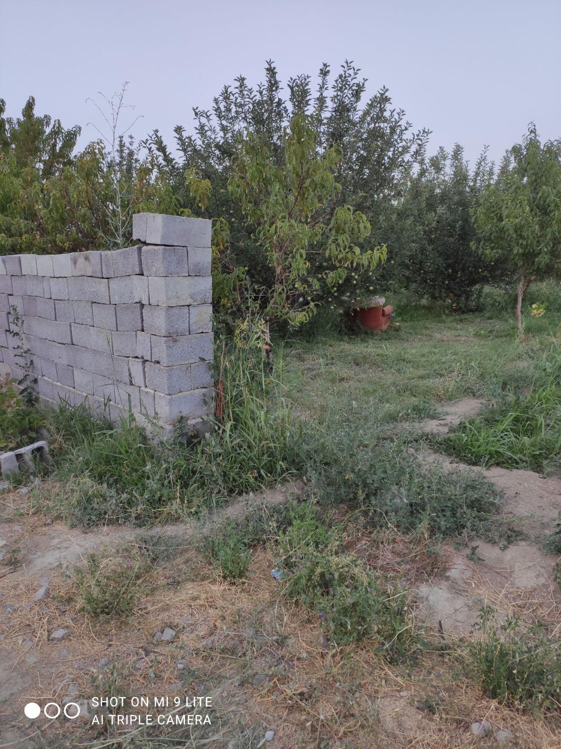 باغچه ۱۰۰۰متربادیوارکشی جاده طلاتپه چمکی|فروش زمین و ملک کلنگی|ارومیه, |دیوار