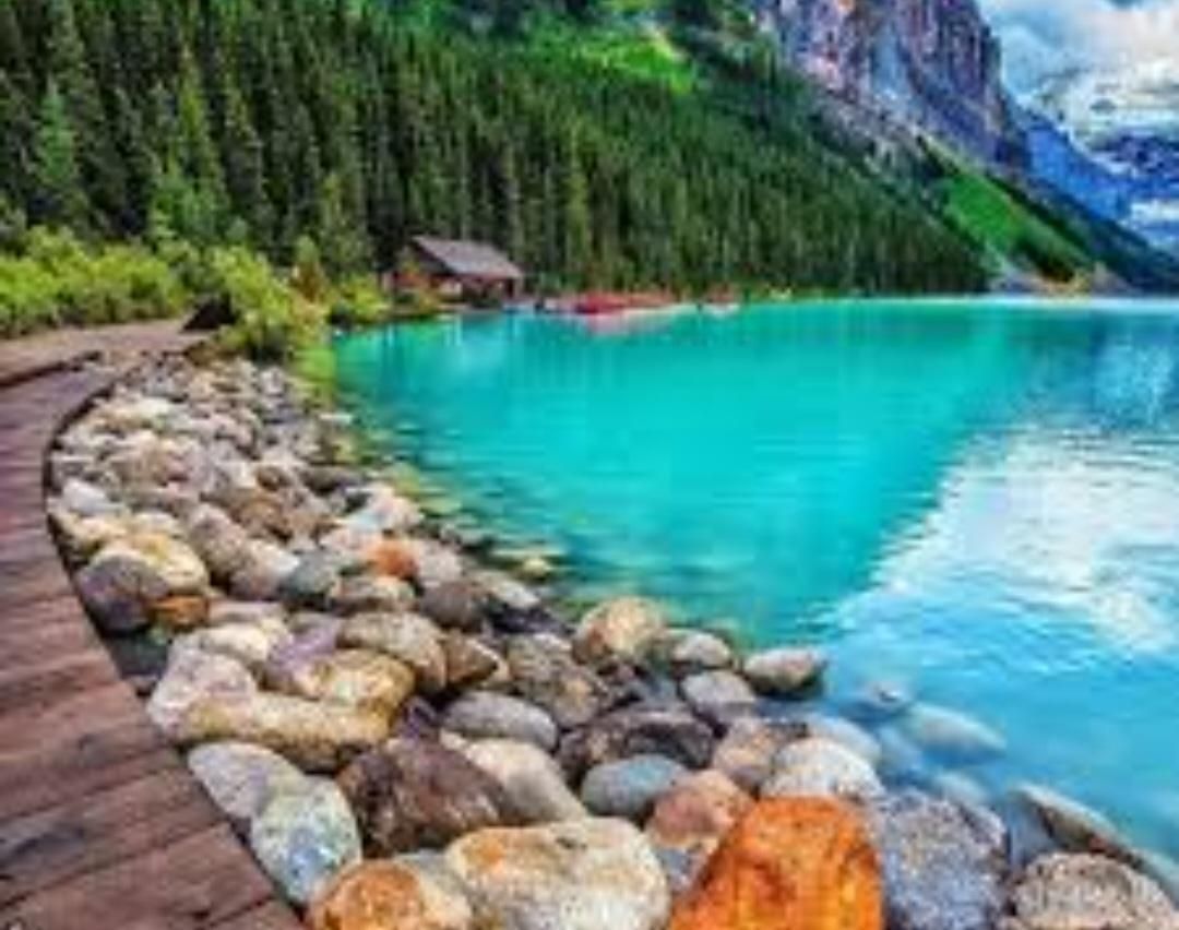 پول گمشده|اشیا|زنجان, |دیوار