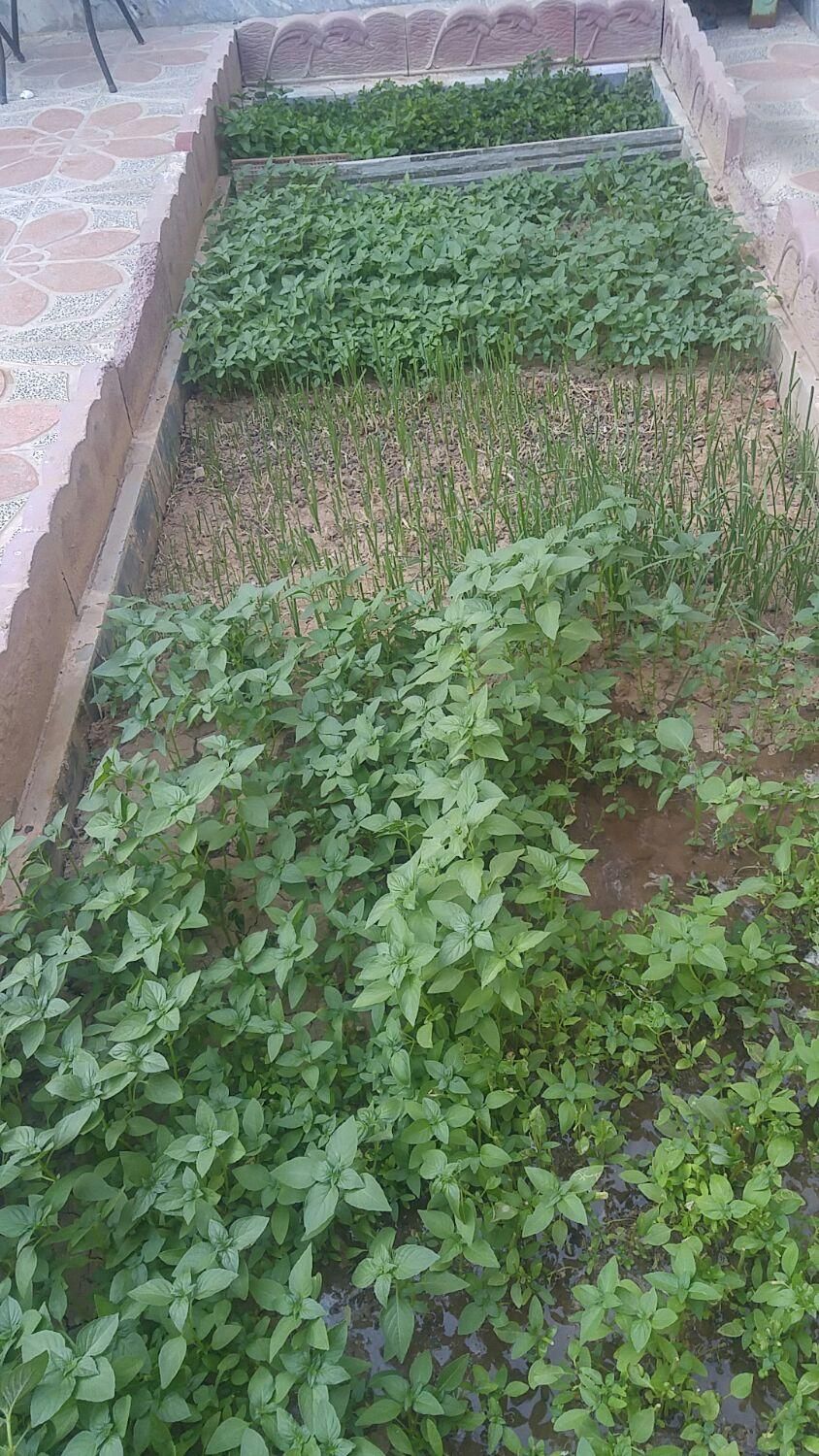 ویلایی میراباد|فروش خانه و ویلا|شهرکرد, |دیوار