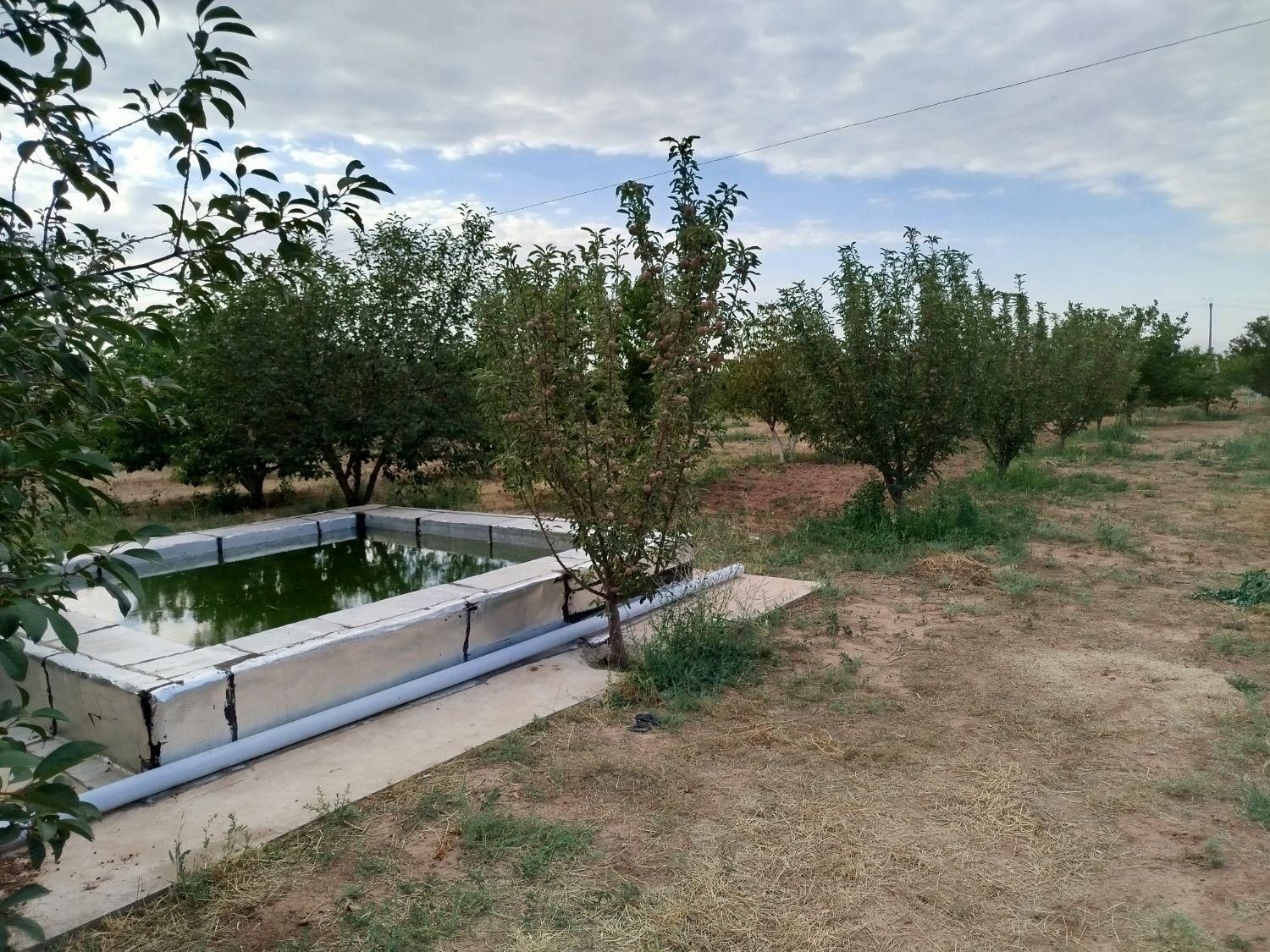 باغ به متراژ ۲۰۰۰متر در شربیان|فروش خانه و ویلا|مهربان, |دیوار