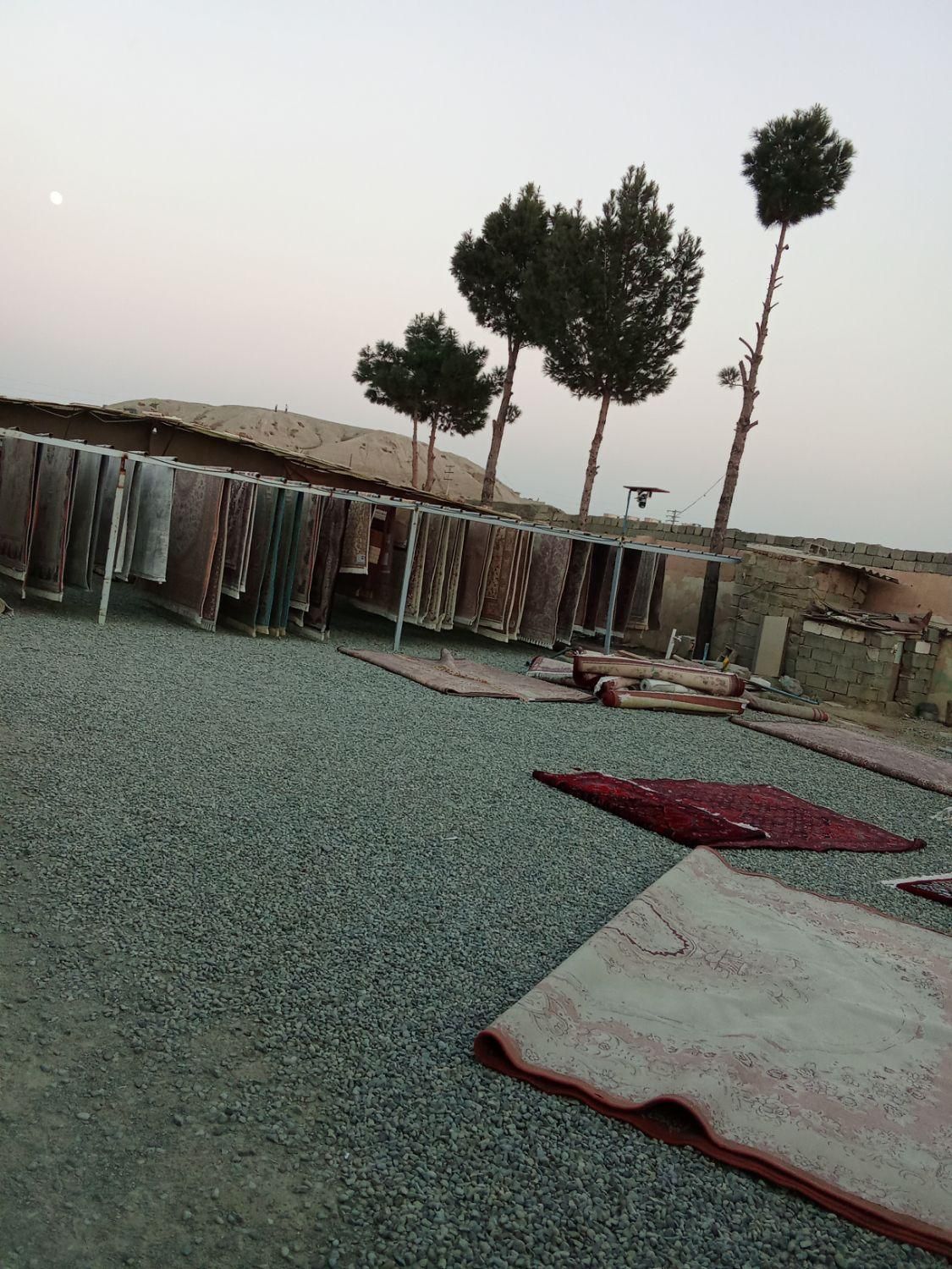 قالیشویی لطفی|خدمات نظافت|ماهدشت, |دیوار