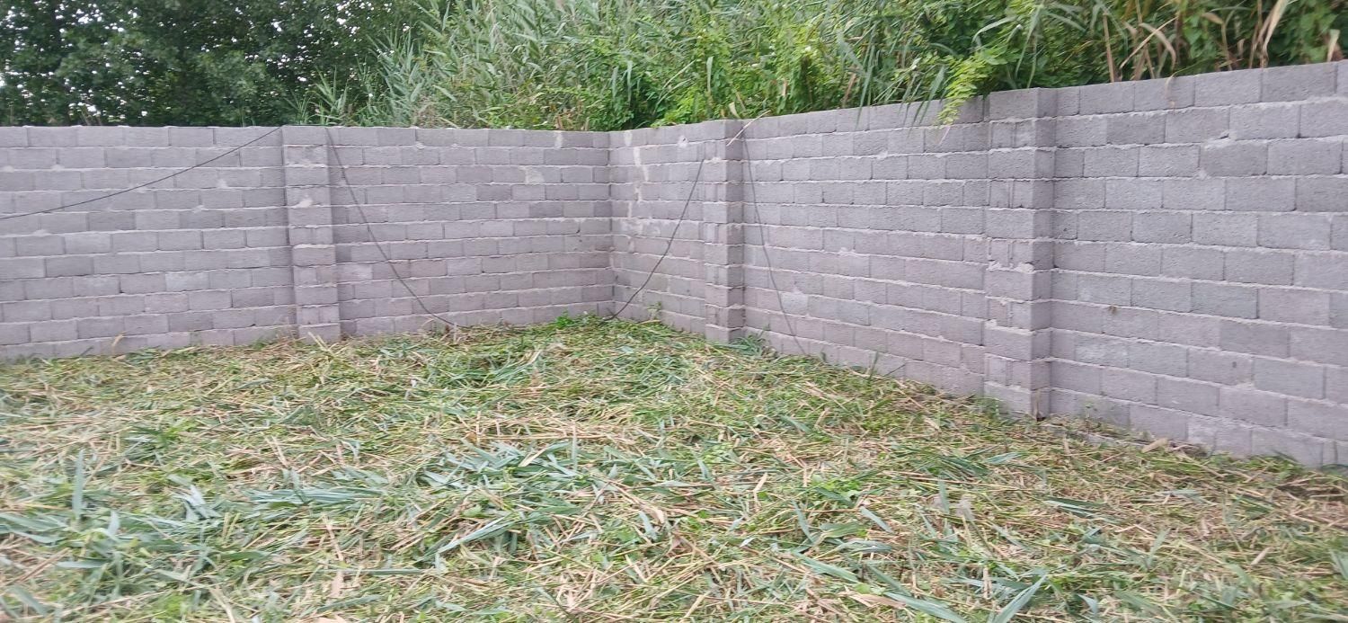 علف زنی با دستگاه چمن زن|خدمات باغبانی و درختکاری|رشت, توشیبا|دیوار