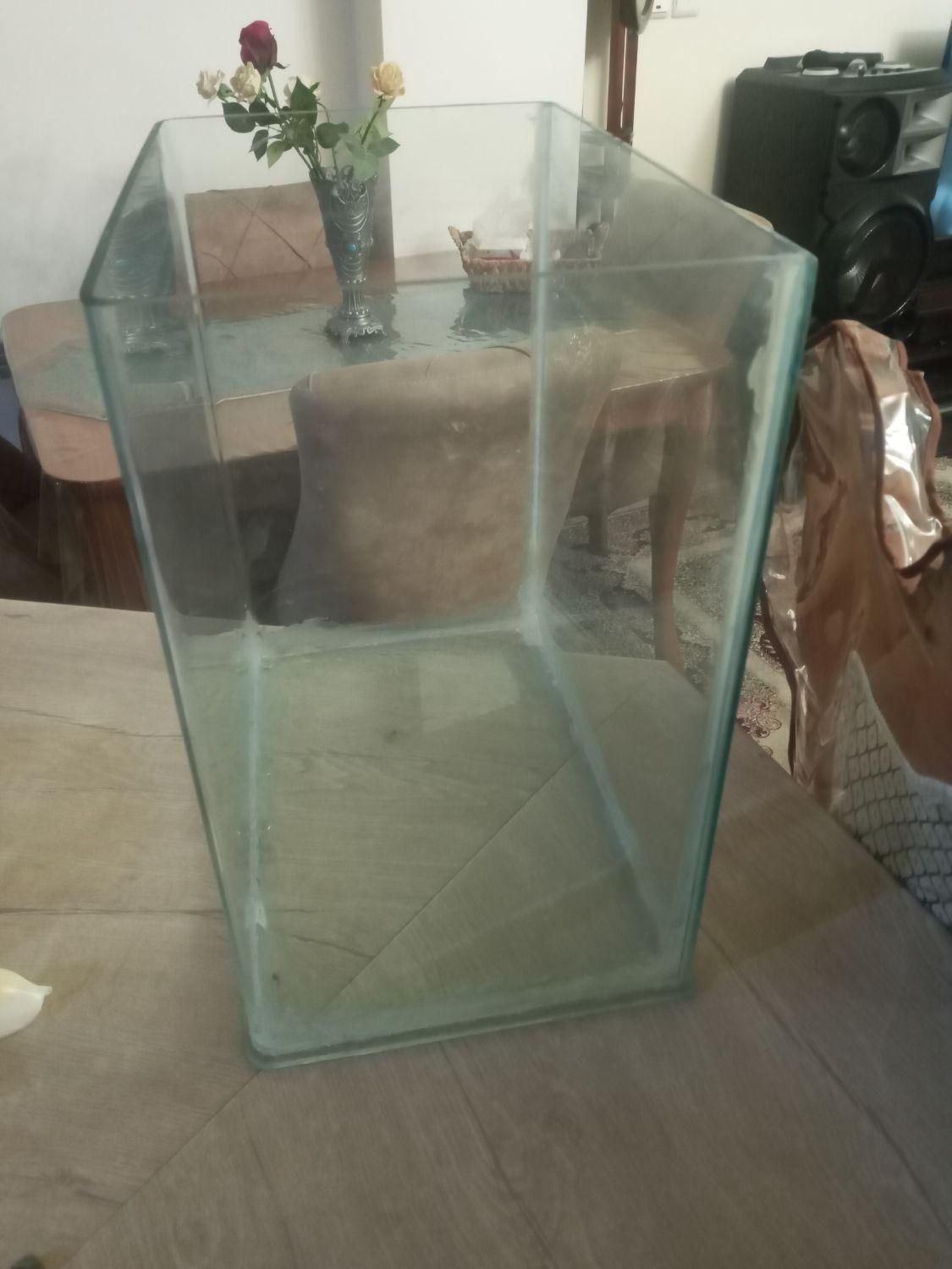 آکواریوم شیشه خم شرکتی با وسایل|ماهی|تهران, شادآباد|دیوار