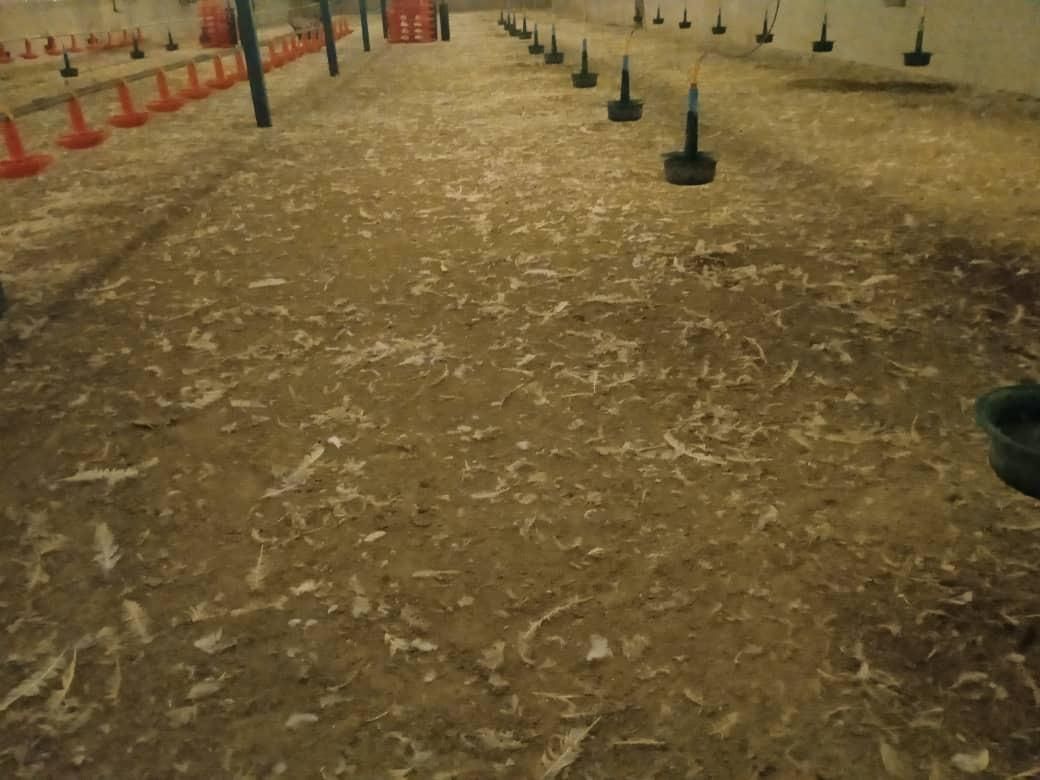 کود مرغی کازرون|خدمات باغبانی و درختکاری|کازرون, |دیوار