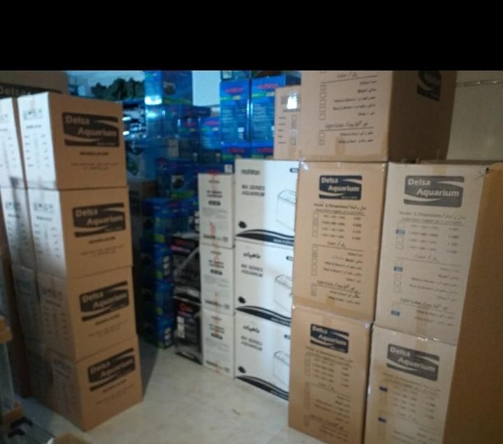 پخش تجهیزات آکواریوم|ماهی|اصفهان, سعادتآباد|دیوار