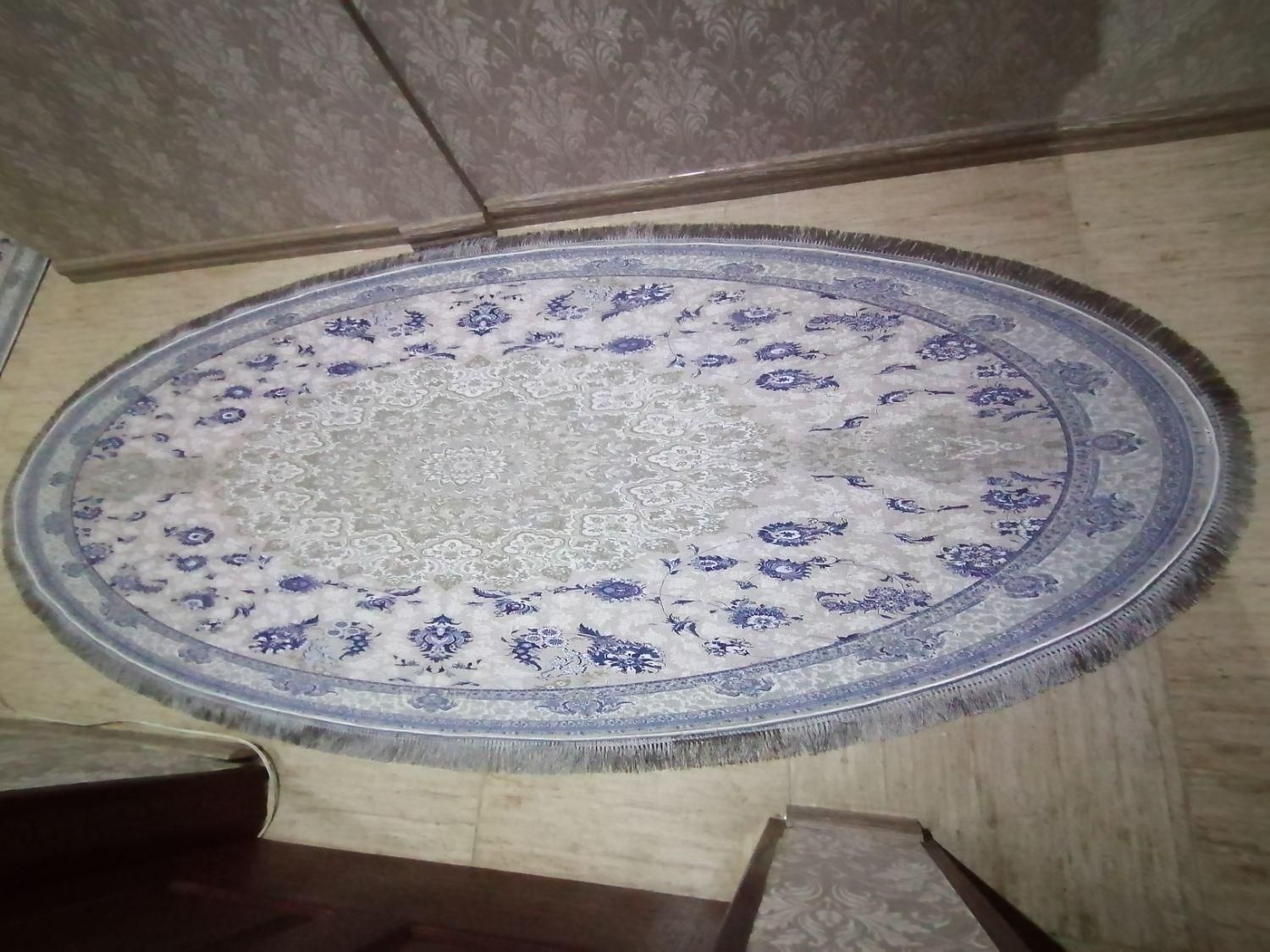 کناره فرشینه نو (فرش لایت)|فرش|شیراز, پانصد دستگاه ارتش|دیوار