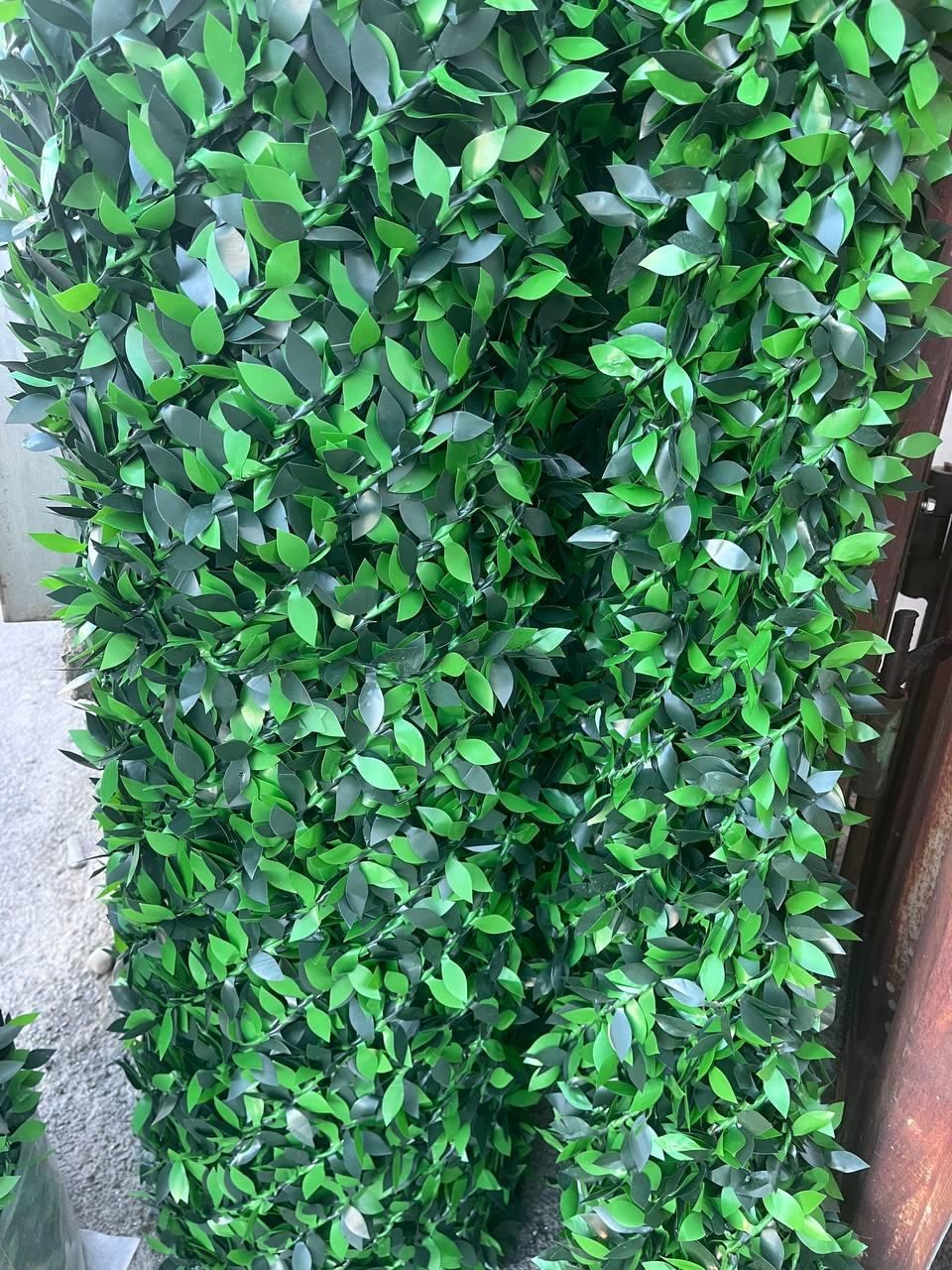 فنس برگی فنس چمن|گل مصنوعی|فردیس, فردیس|دیوار