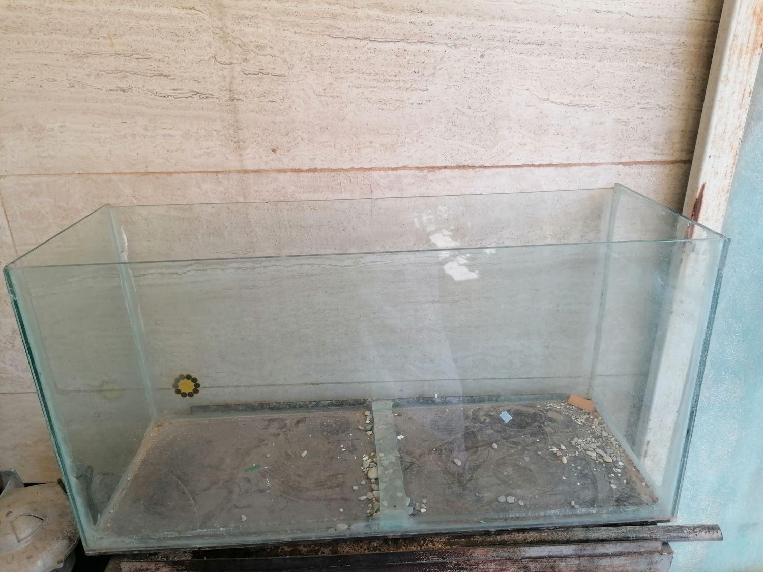 اکواریوم|ماهی|اهواز, زیتون کارمندی|دیوار