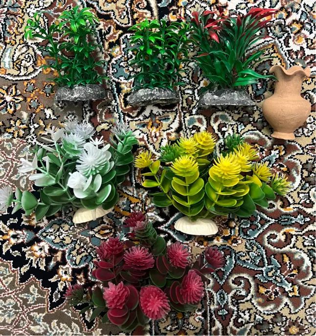 متعلقات آکواریوم|ماهی|اصفهان, مولوی|دیوار