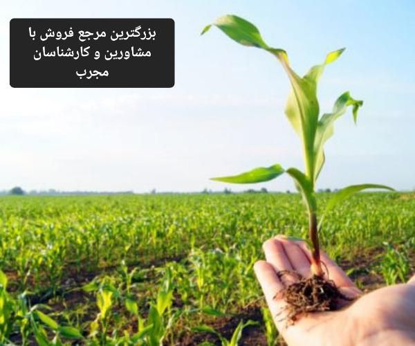 فروش انواع بذر و کود و سم برای کشاورزان|خدمات باغبانی و درختکاری|تهران, باغ فیض|دیوار