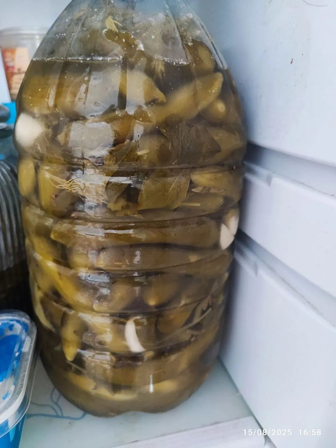 خیارشور خانگی ترشی بادمجان خانگی|خوردنی و آشامیدنی|تهران, باشگاه نفت|دیوار