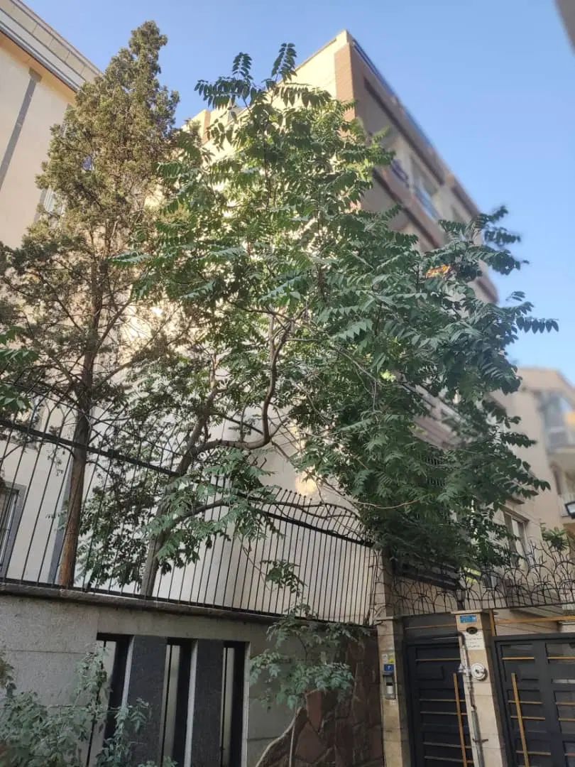 ۱۶۲مترکلنگی با بر ۸ با ۲۷۰متر بنا شمال مرزداران|فروش زمین و ملک کلنگی|تهران, پردیسان|دیوار