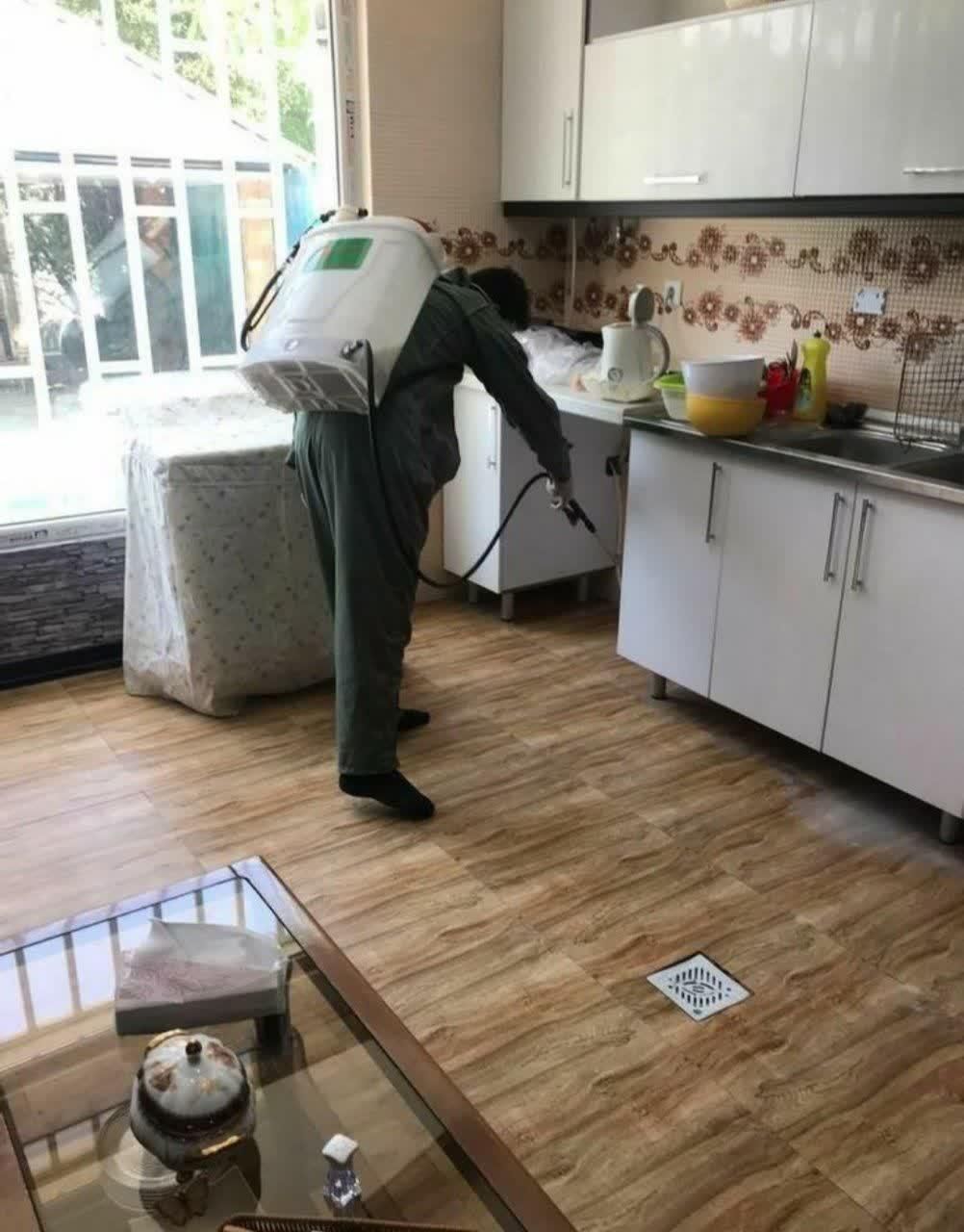 سم پاشی و ضدعفونی با بهترین داروها زیر نظر بهداشت|خدمات نظافت|فولادشهر, فولادشهر|دیوار