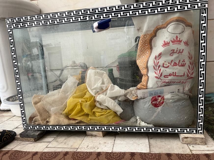 آکواریوم|ماهی|رفسنجان, |دیوار