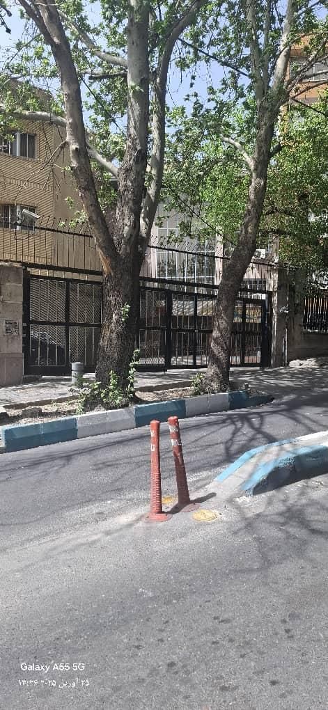 جردن ولیعصر پارک ملت ۱۰۰متر ۲خواب فروشنده واقعی|فروش آپارتمان|تهران, امانیه|دیوار