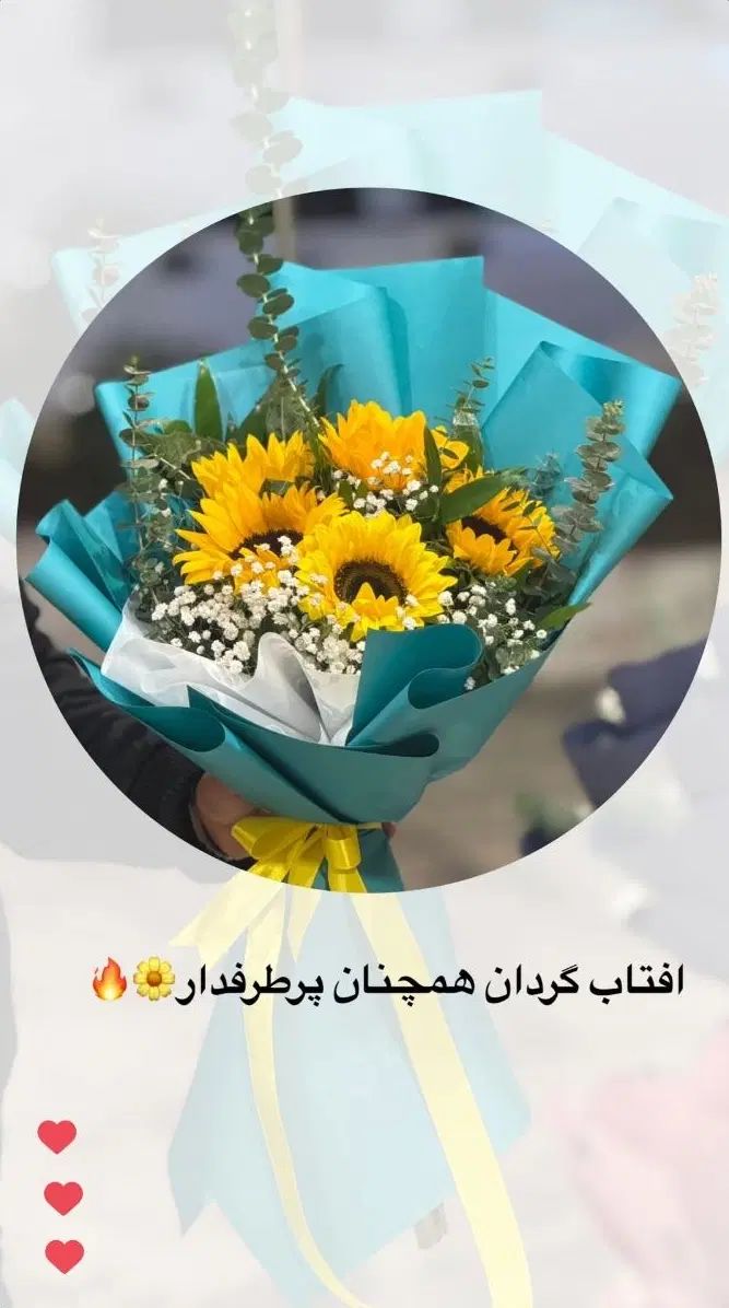 رز هلندی|گل مصنوعی|مشهد, دانشجو|دیوار