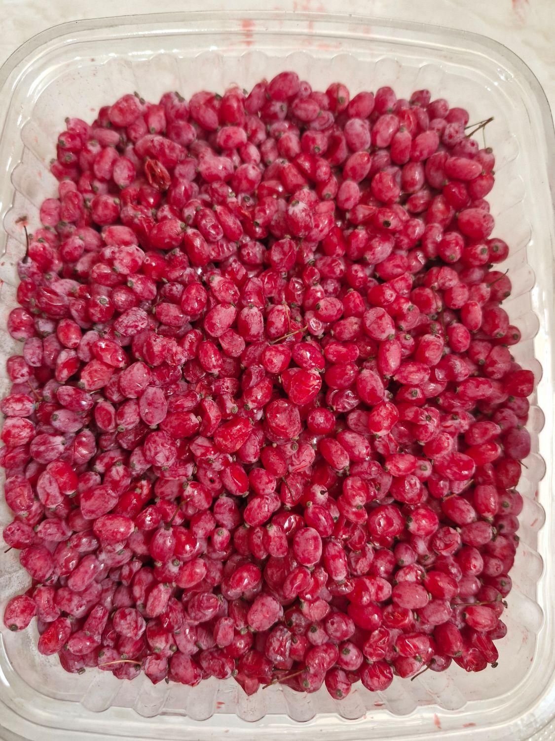 زرشک تازه آبدار قائنات با تحویل رایگان|خوردنی و آشامیدنی|مشهد, طلاب|دیوار
