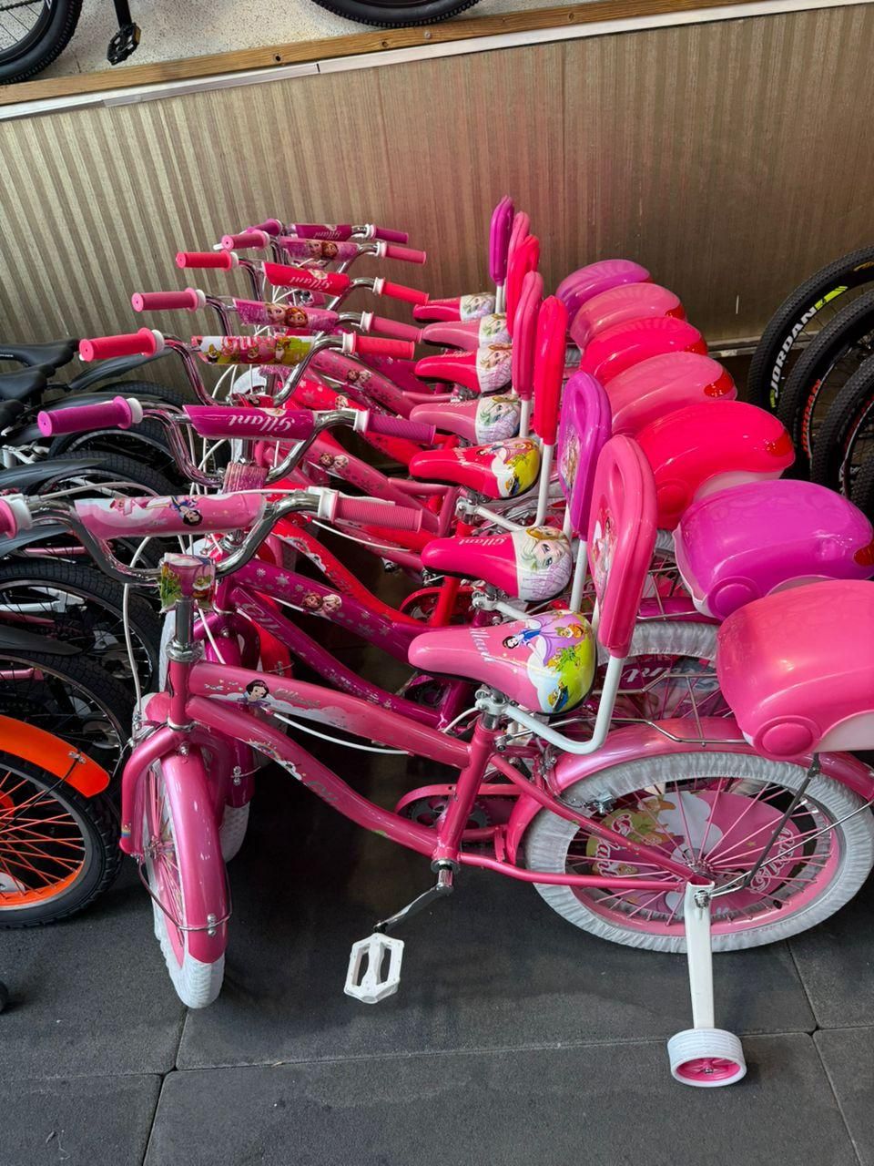 دوچرخه ۱۲ صورتی پخش|دوچرخه، اسکیت، اسکوتر|محمدشهر, محمدشهر|دیوار