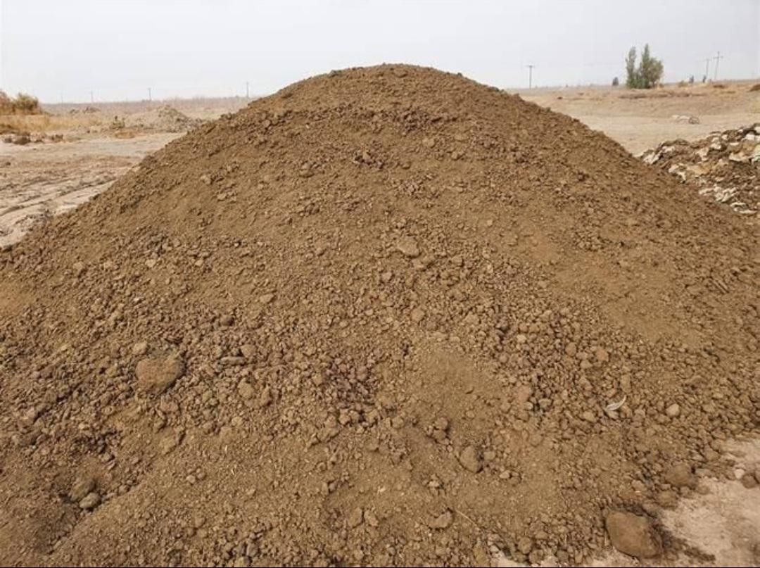 خریدار کود گوسفندی و گاو|خدمات باغبانی و درختکاری|داراب, |دیوار