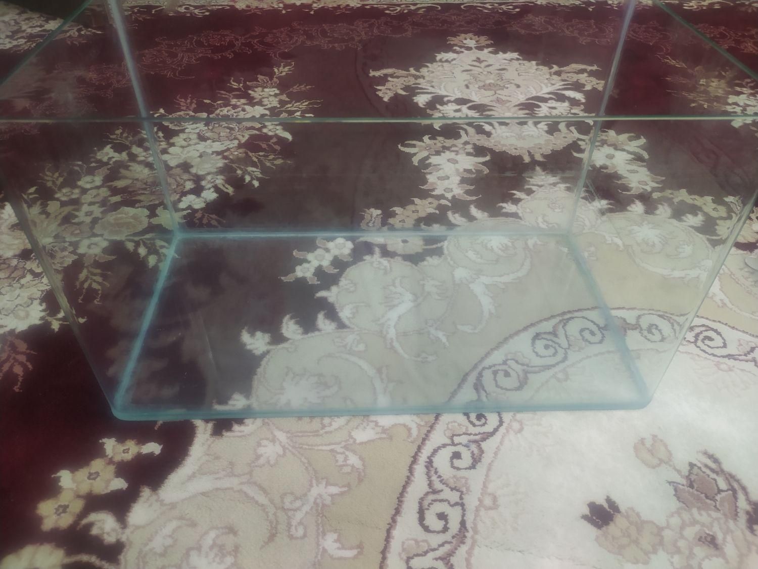 آکواریوم شیشه‌ای۴۵ لیتری با لبه‌های خم‌کارخانه‌ای|ماهی|اصفهان, احمدآباد|دیوار