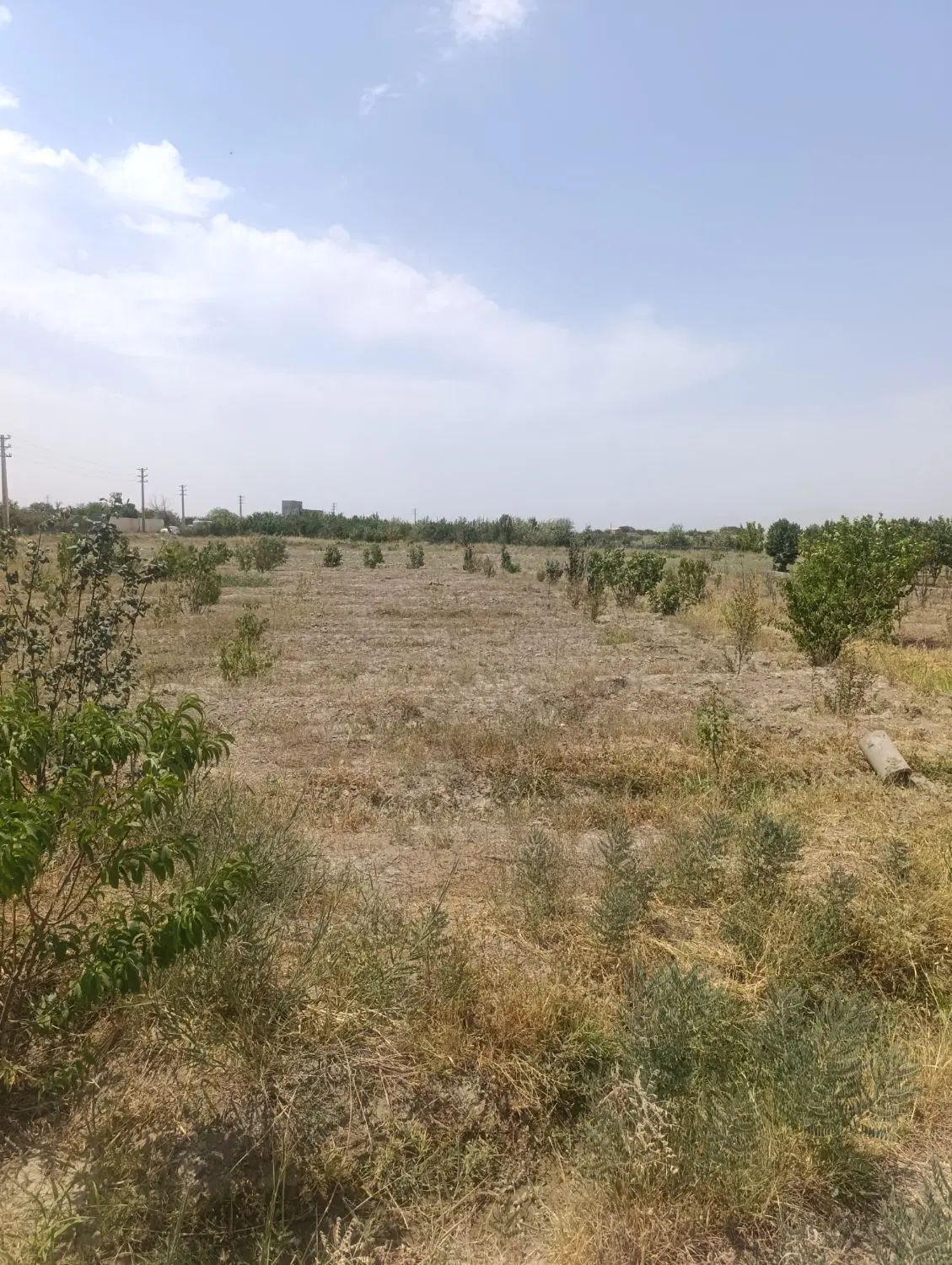 زمین|فروش زمین و ملک کلنگی|کرج, مصباح|دیوار