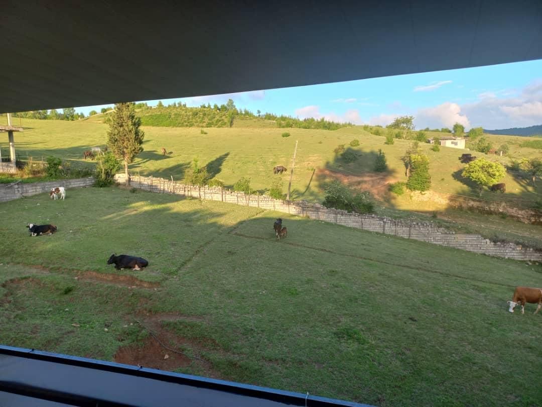 ویلا ۲خوابه دربست|اجارهٔ کوتاه‌مدت ویلا و باغ|چالوس, |دیوار