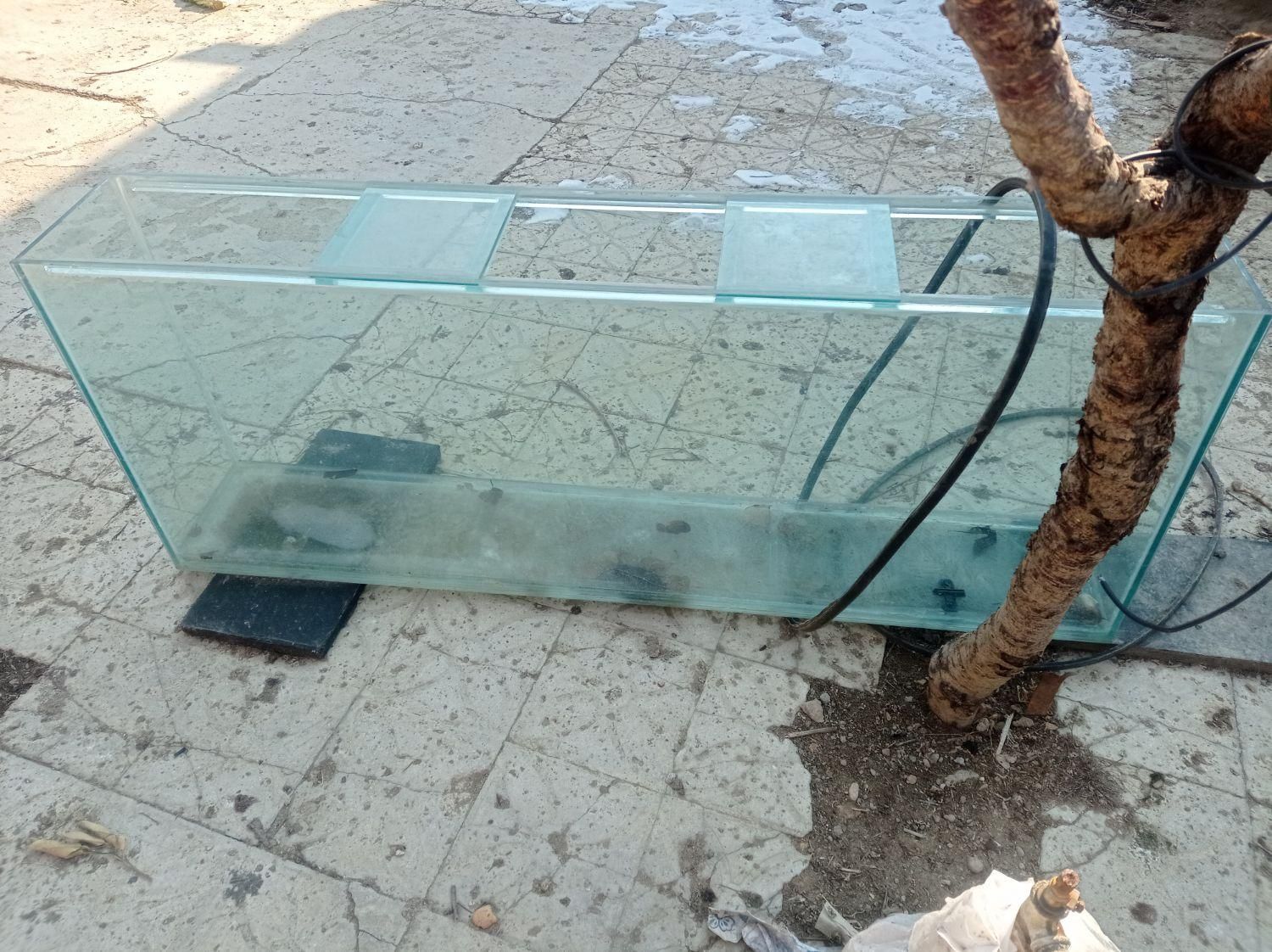 انواع آکواریوم و ماهی و لوازمات|ماهی|کبودرآهنگ, |دیوار