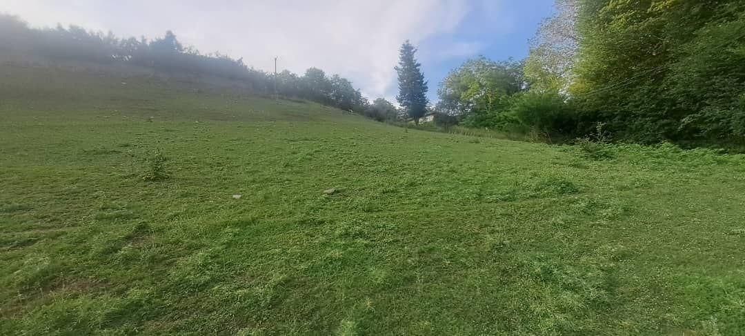 زمین متراژ بالا با ویو عالی در گیلان|فروش زمین و ملک کلنگی|رشت, بازار|دیوار