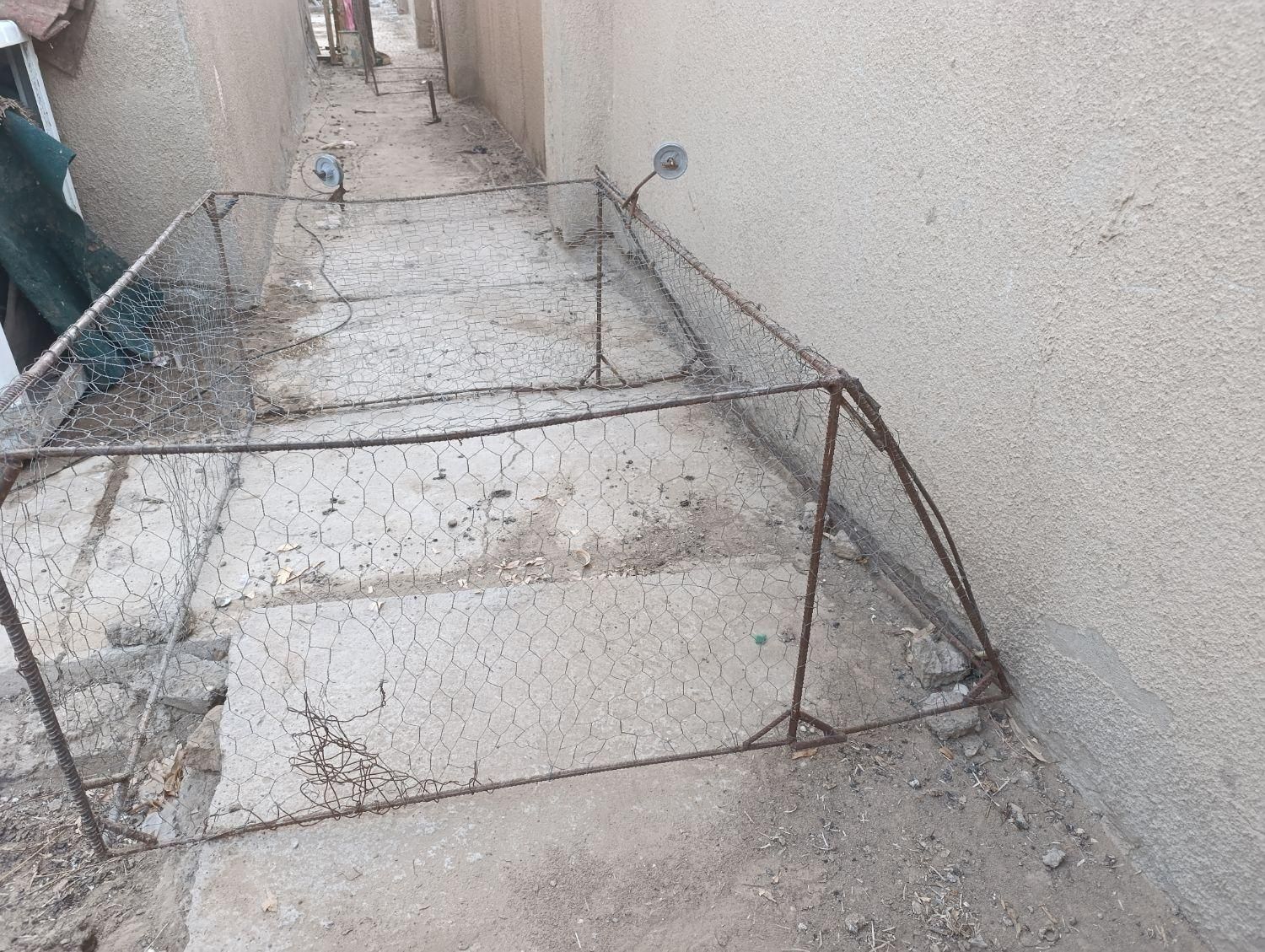 تور کبوتر سعی وسالم است|لوازم جانبی حیوانات|زهک, |دیوار