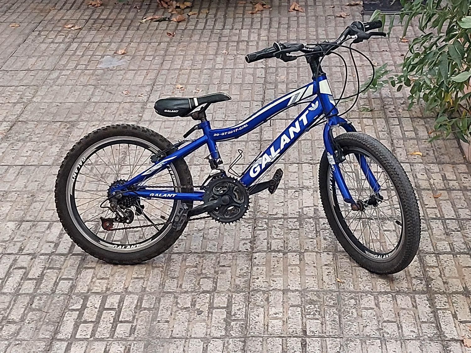 دوچرخه|دوچرخه، اسکیت، اسکوتر|قدس, شهرقدس|دیوار