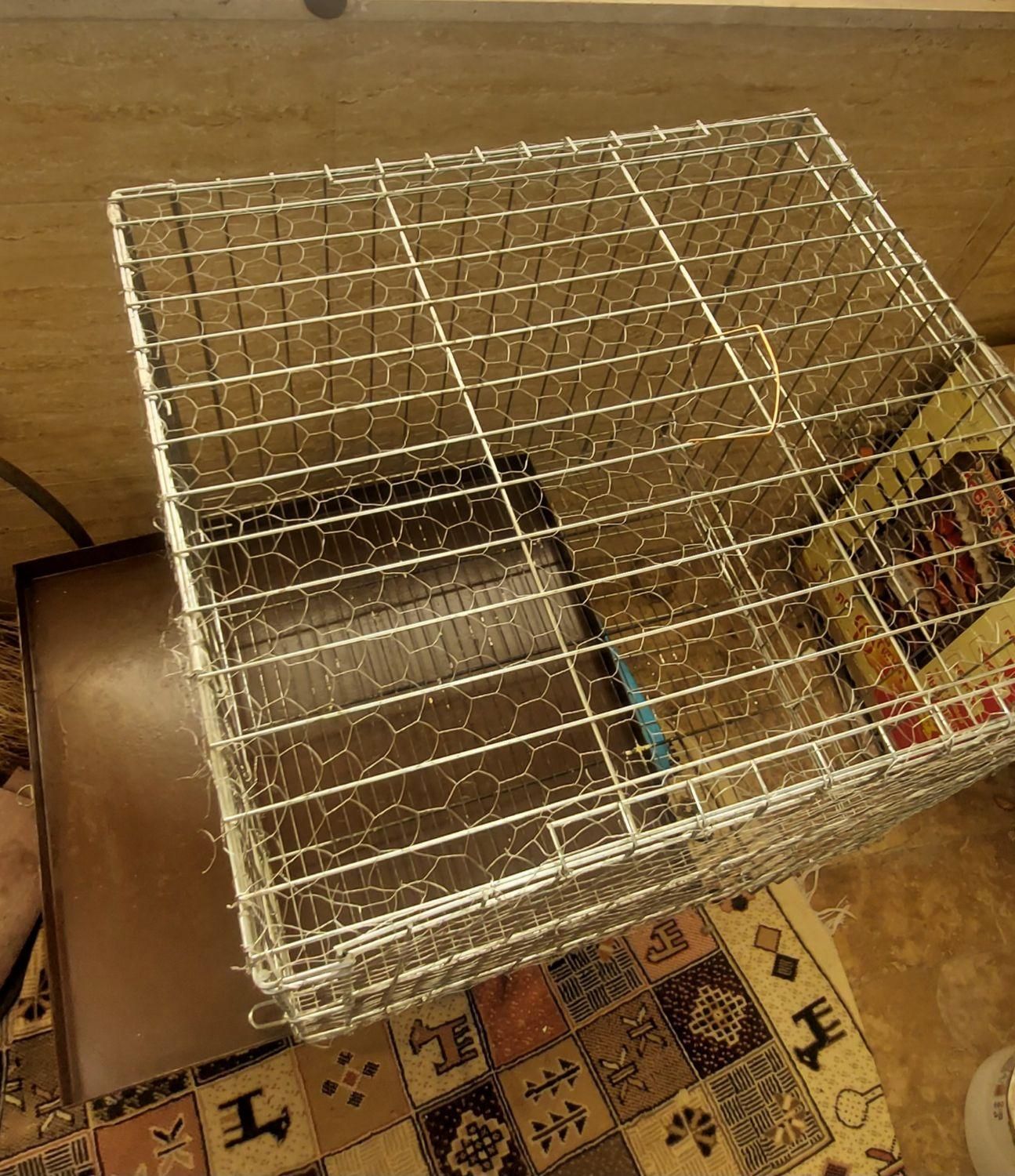 قفس پرنده بزرگ|لوازم جانبی حیوانات|قم, باغ شازده|دیوار