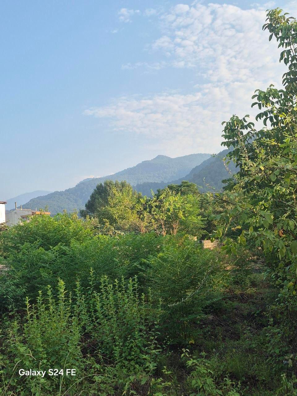 فروش زمین شهرکی|فروش زمین و ملک کلنگی|نشتارود, |دیوار