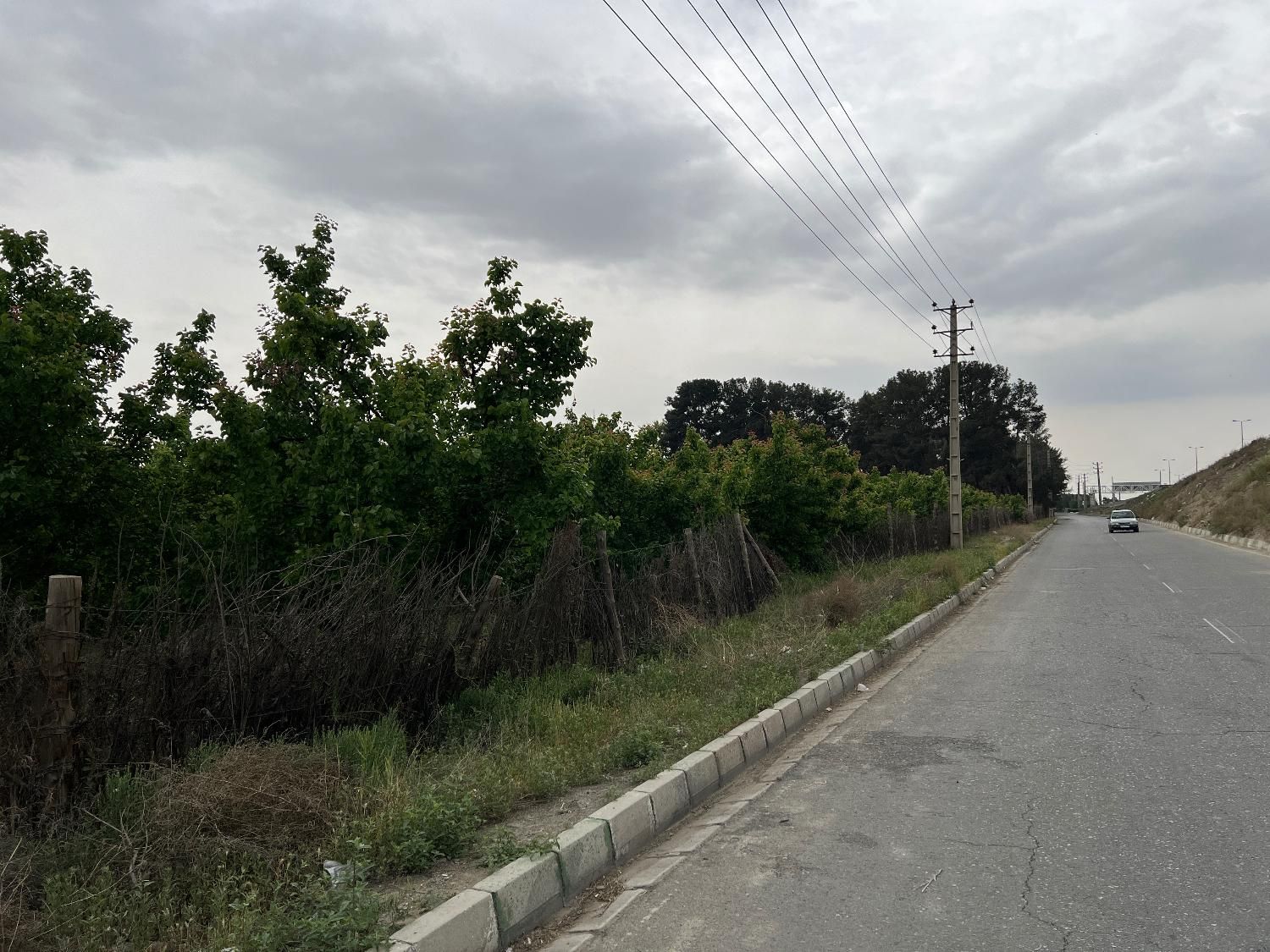 باغ ۵۰۰متری بر اصلی باغستان|فروش زمین و ملک کلنگی|تهران, سعیدآباد|دیوار