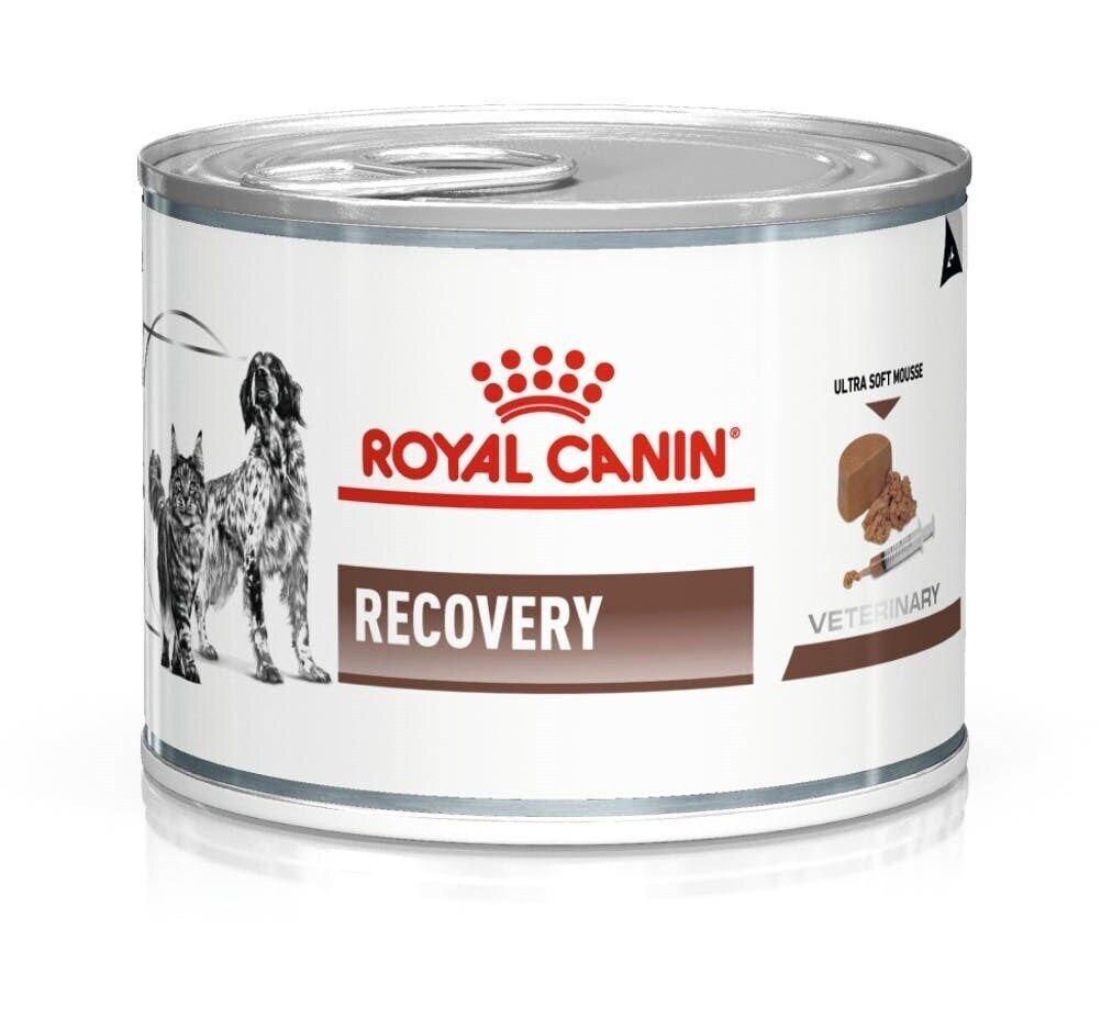 کنسرو ریکاوری رویال کنین(اصل) Royal canin recovery|لوازم جانبی حیوانات|تهران, سهروردی|دیوار