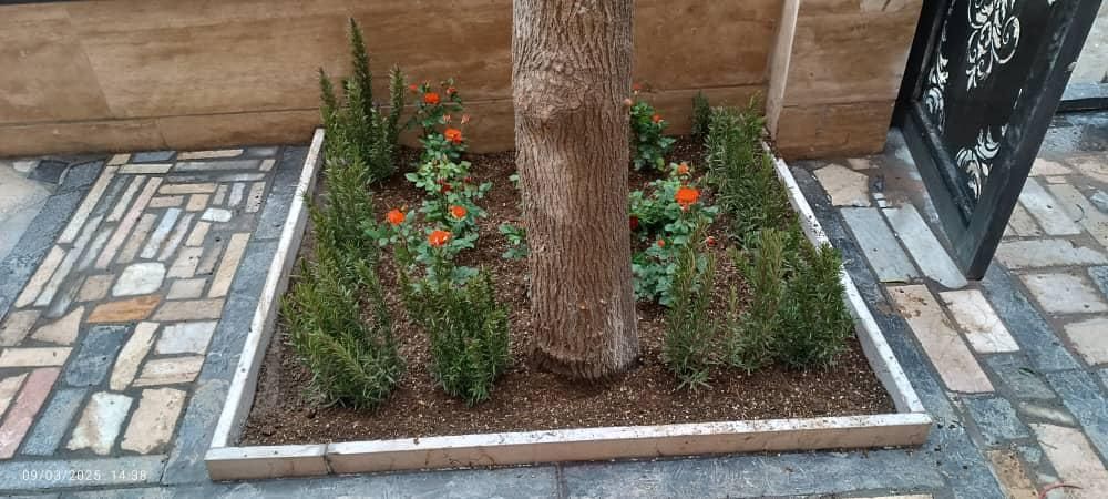 خدمات باغبانی کوددهی گلکاری کاشت گل هرس درختان|خدمات باغبانی و درختکاری|شهریار, ابراهیم‌آباد|دیوار