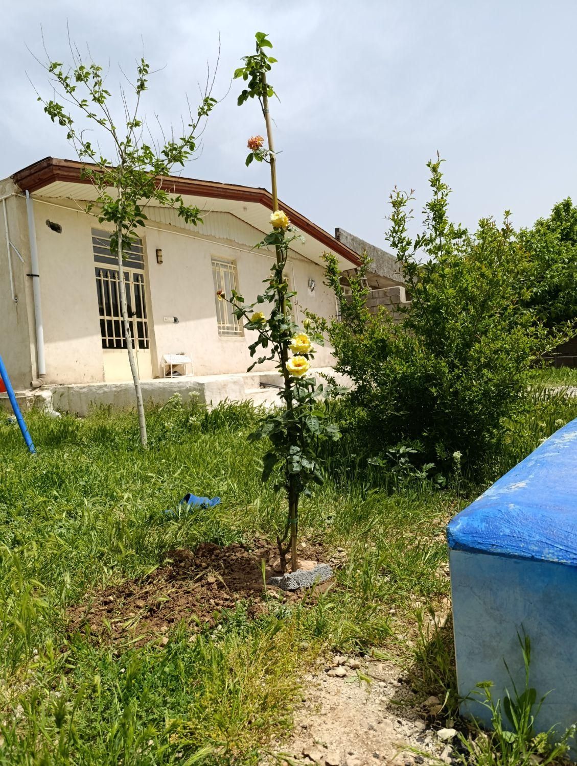 فروش و معاوضه خانه سراب ایوان ۵۳۰متری|فروش خانه و ویلا|ایوان, |دیوار