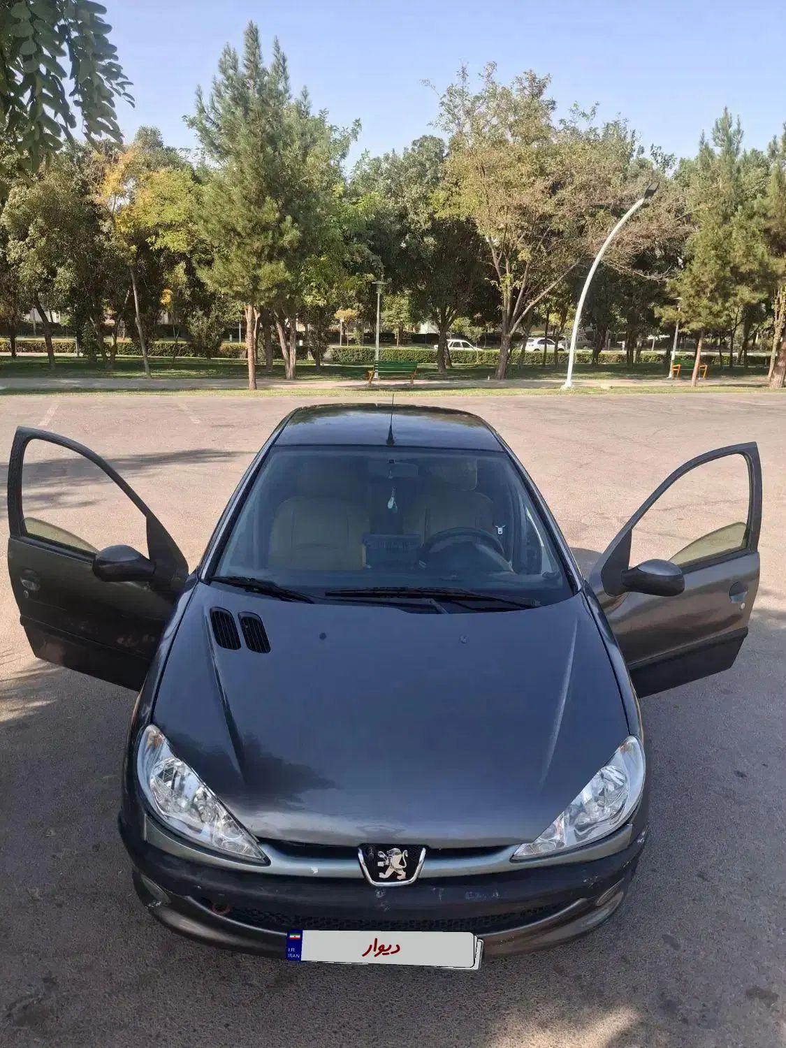 206SD-V8|خودرو سواری و وانت|مشهد, هدایت|دیوار