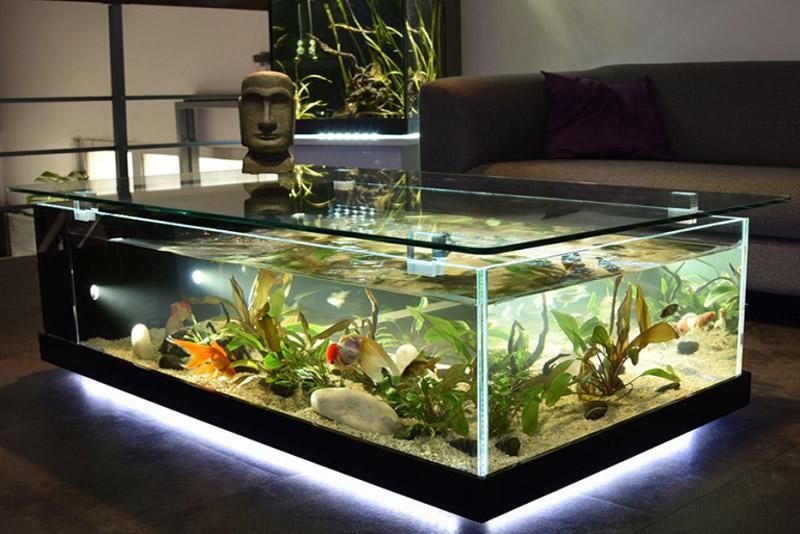 نصب و خدمات آکواریم|ماهی|تهران, امیرآباد|دیوار