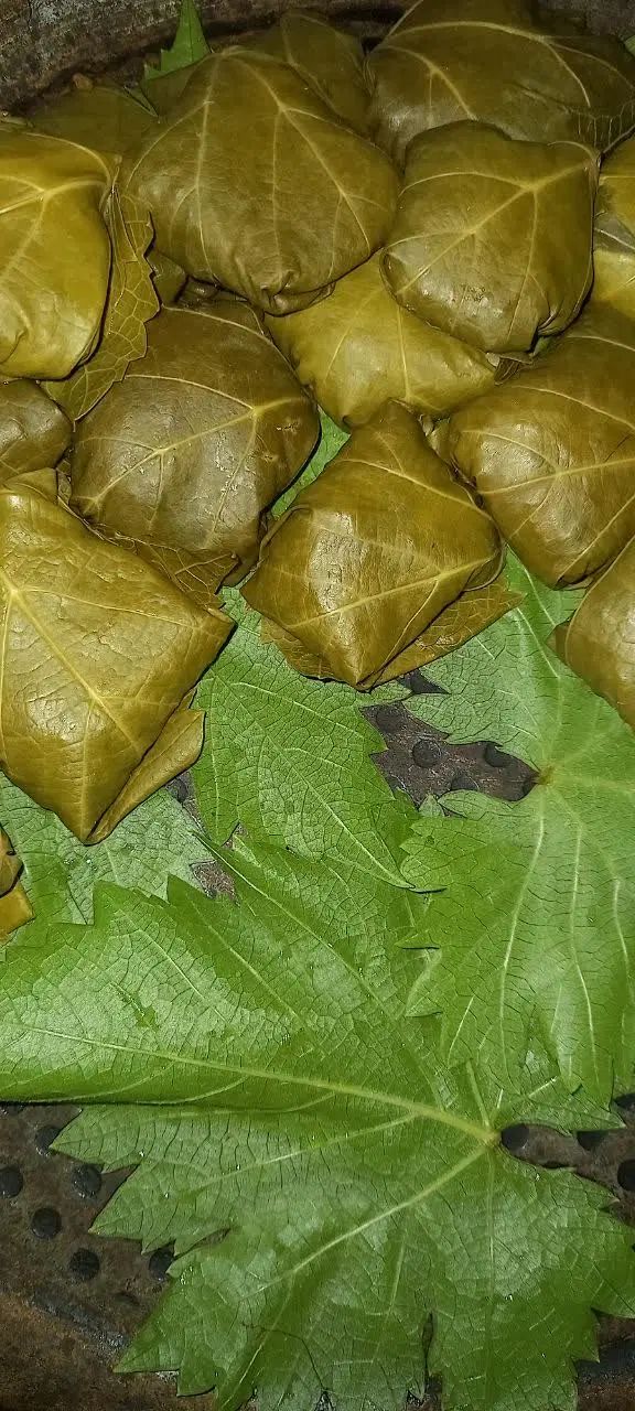 برگ دلمه برگ مو‌ برگ میم|خوردنی و آشامیدنی|مشهد, فدک|دیوار