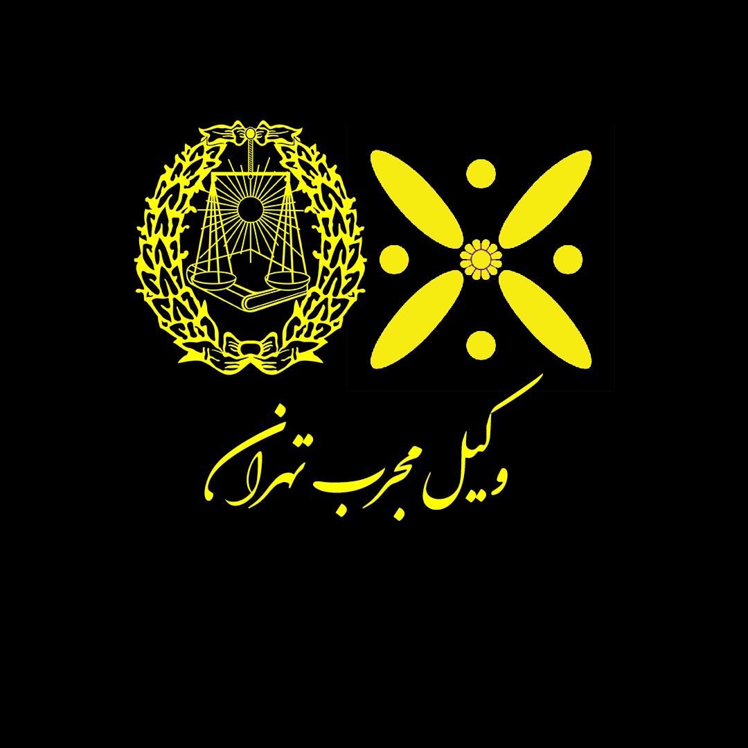 وکیل مجرب تهران *پرونده سخت و لاینحل|خدمات مالی، حسابداری، بیمه|تهران, آرژانتین|دیوار