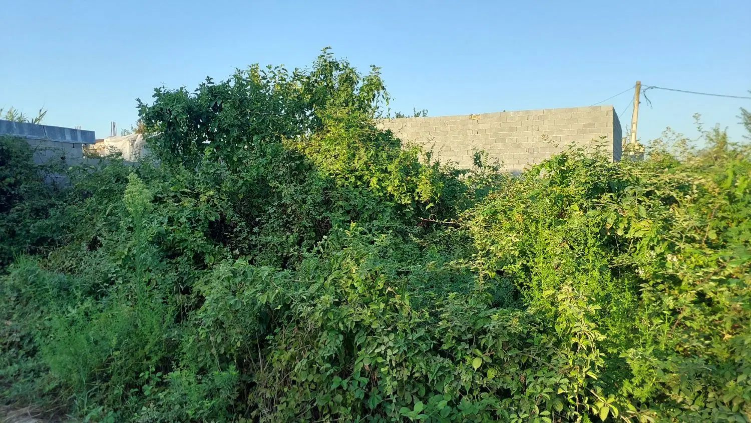 زمین خوش قیمت|فروش زمین و ملک کلنگی|رشت, حومه رشت|دیوار