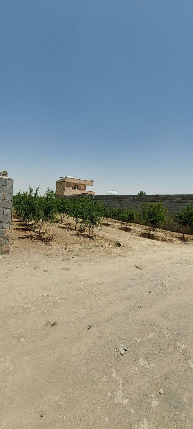 فروش زمین باغی ۴۶۰ متر میدان کشاورز قهجاورستان|فروش زمین و ملک کلنگی|اصفهان, قهجاورستان|دیوار