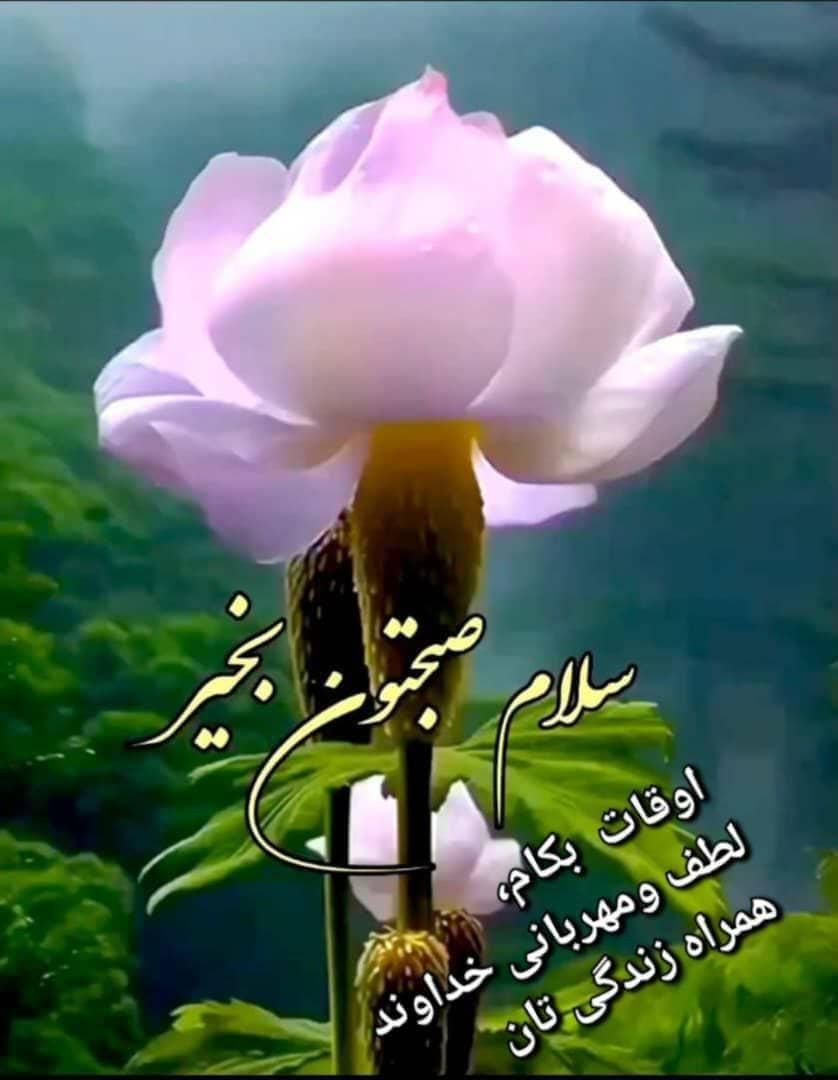 سیم کارت همراه اول رند طلایی09131070840|سیم‌کارت|شاهین‌شهر, فیض|دیوار