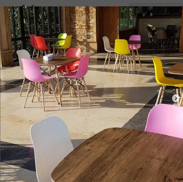 میزوصندلی ار یا fiber ۵۶۷|میز و صندلی غذاخوری|قم, قلعه یزدیها|دیوار