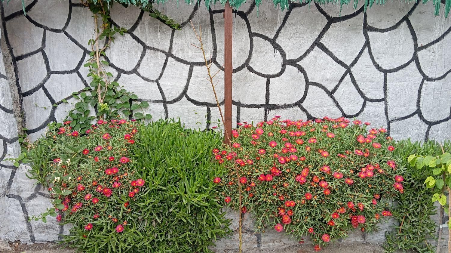 تصویر 15