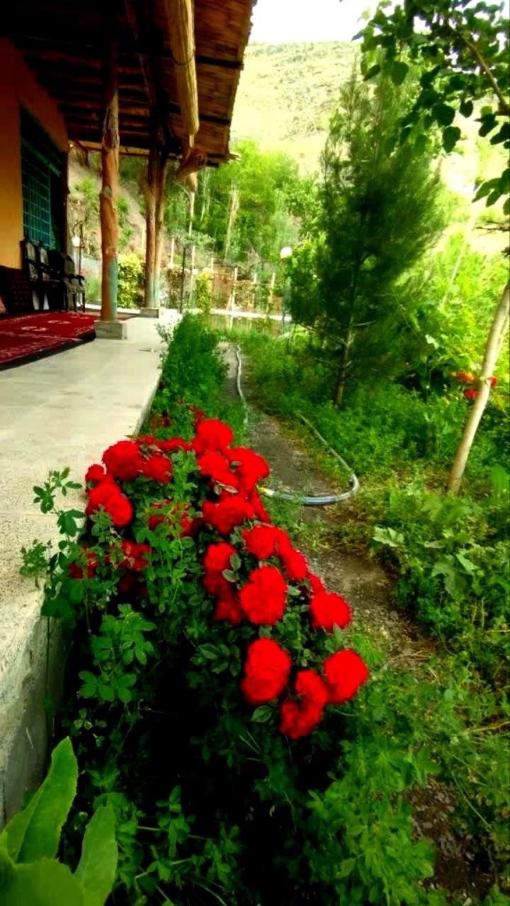 اقامتگاه وبومگردی کوهستان طرقبه ازغد|اجارهٔ کوتاهمدت ویلا و باغ|طرقبه, |دیوار