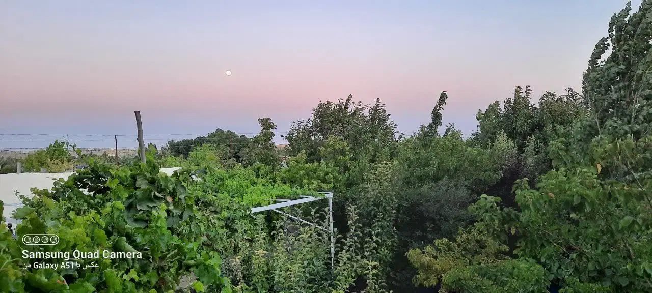 ۲۲۰متر تجاری دائم سند آماده حاشیه میرزا معاوضه|فروش مغازه و غرفه|مشهد, طلاب|دیوار