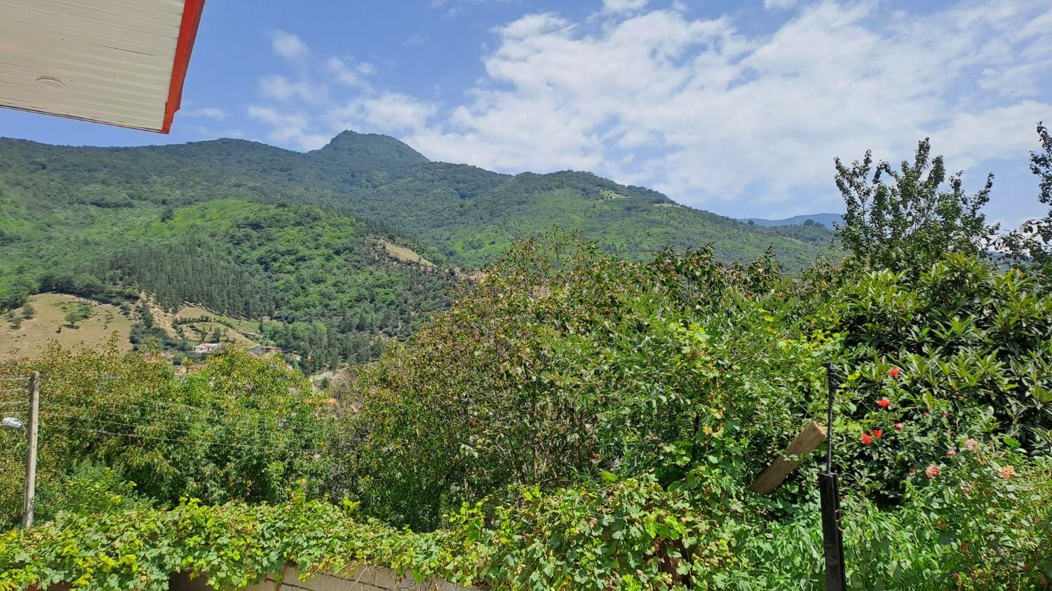 اجاره روزانه دربست جنگلی،کوهستانی سوادکوه، پلسفید|اجارهٔ کوتاه‌مدت آپارتمان و سوئیت|پل سفید, |دیوار