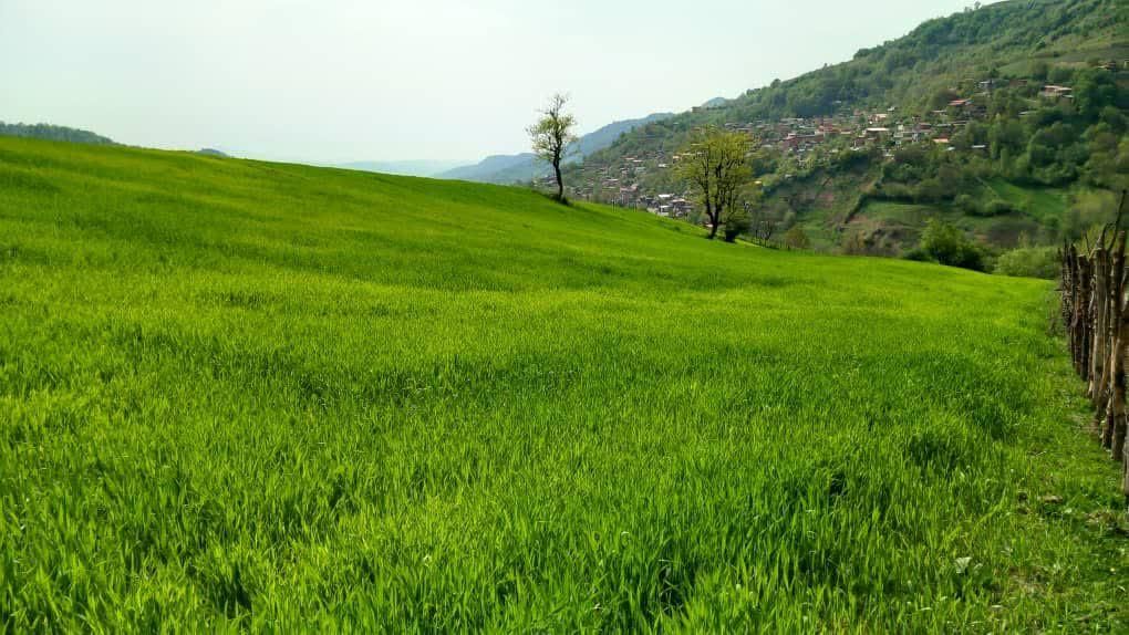 اجاره خانه،ویلا وسوئیت روستای چورت دریاچه میانشه|اجارهٔ کوتاهمدت ویلا و باغ|کیاسر, |دیوار