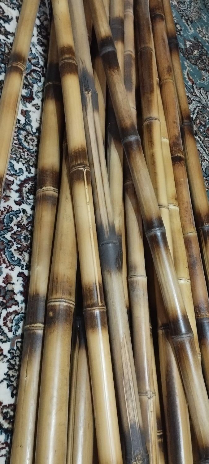 نیچوبی|گل مصنوعی|الوند, |دیوار